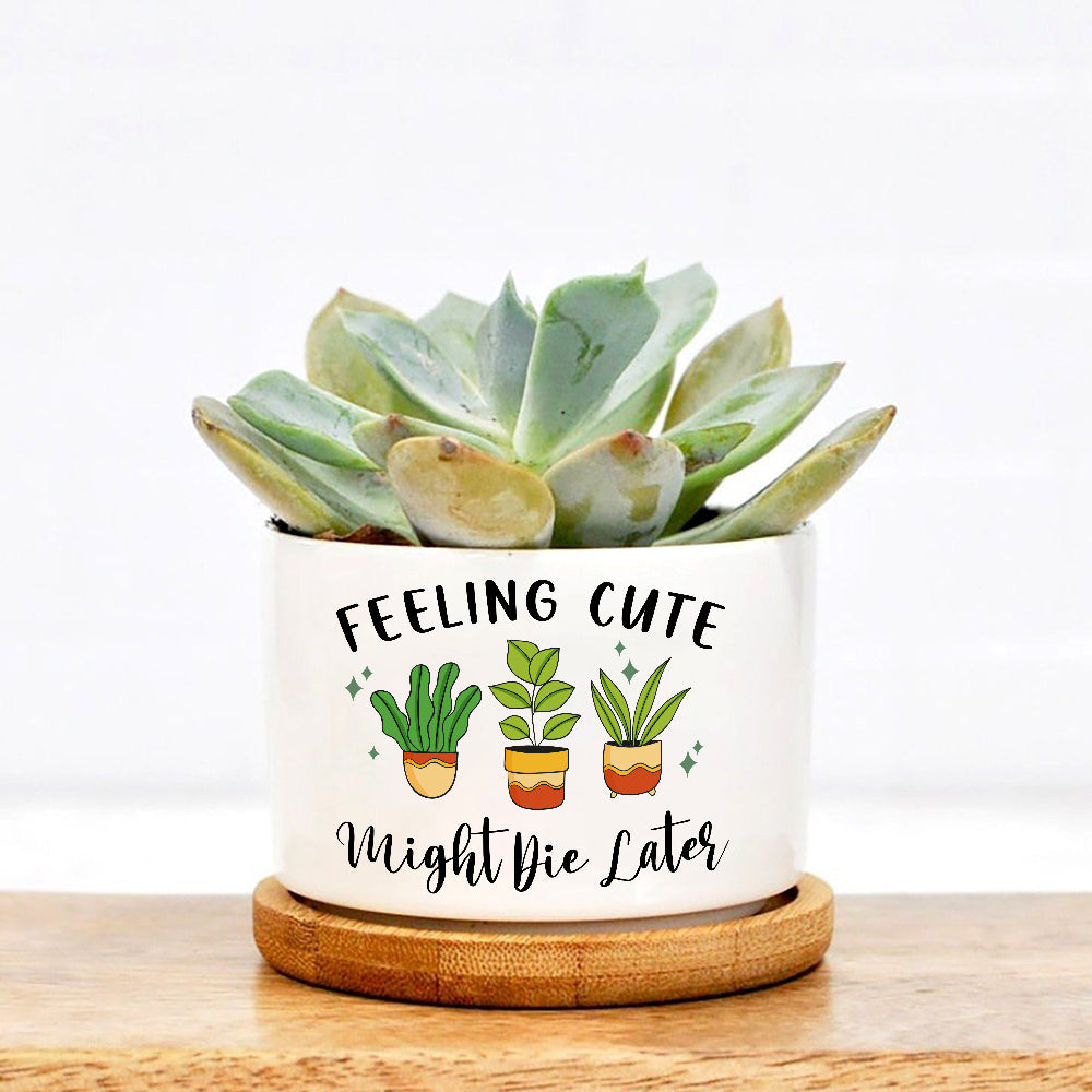 plant pot feeling cute might die later Feeling Cute Might Die Later Plant Pot, Positive Vibes Plant Pot, Funny plant pot design, Planter Pot Decal, encouragement gift – Wolfantique