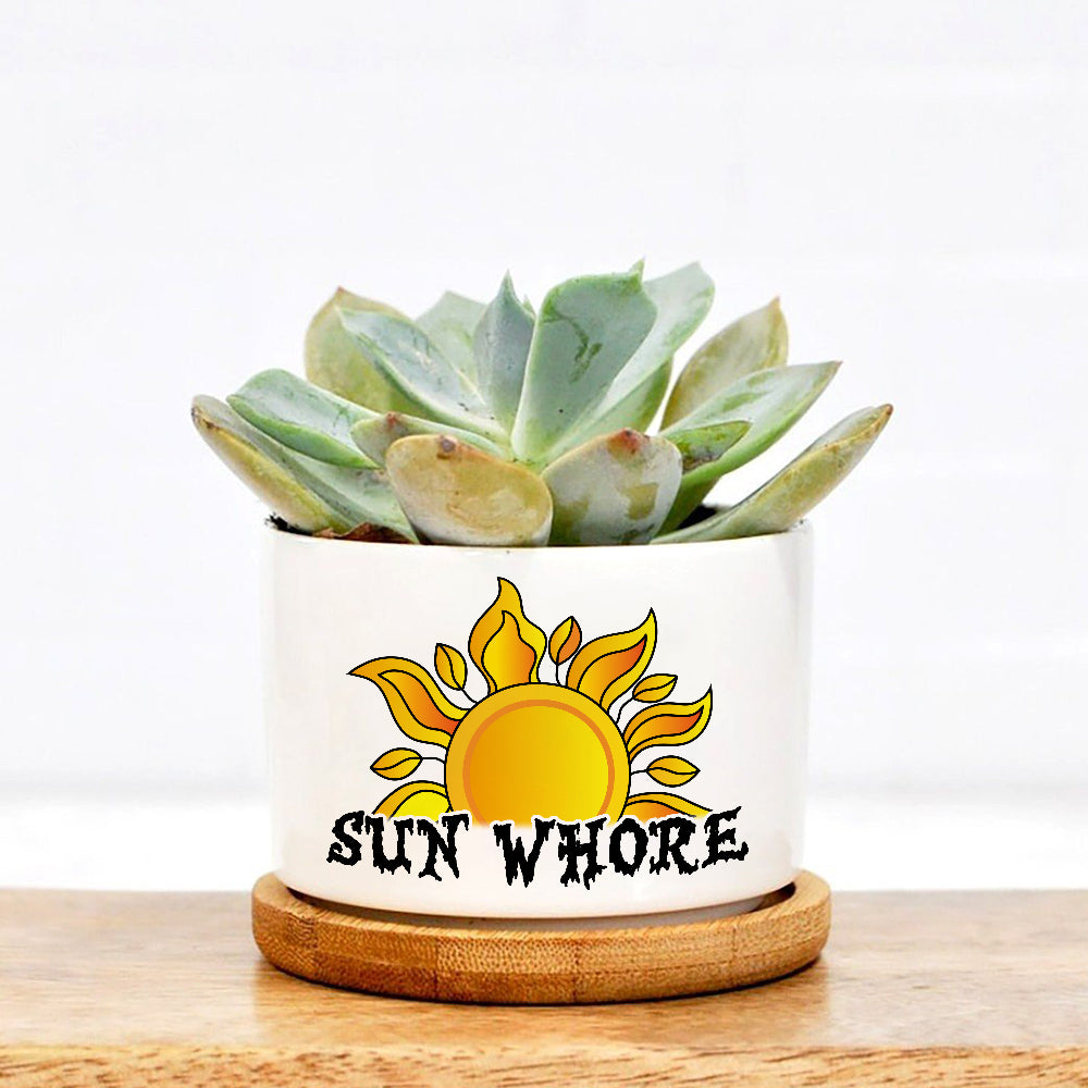 Sun Whore Plan Pot