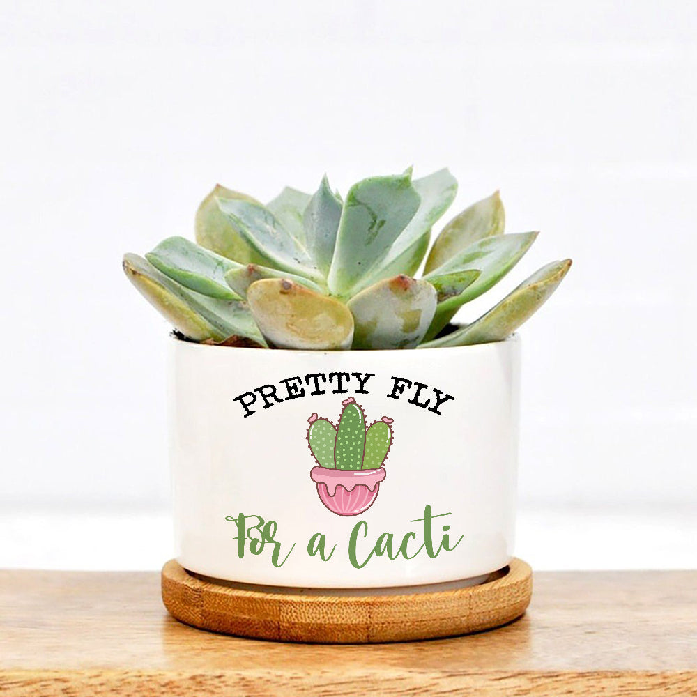 Pretty Fly For A Cacti Plant Pot