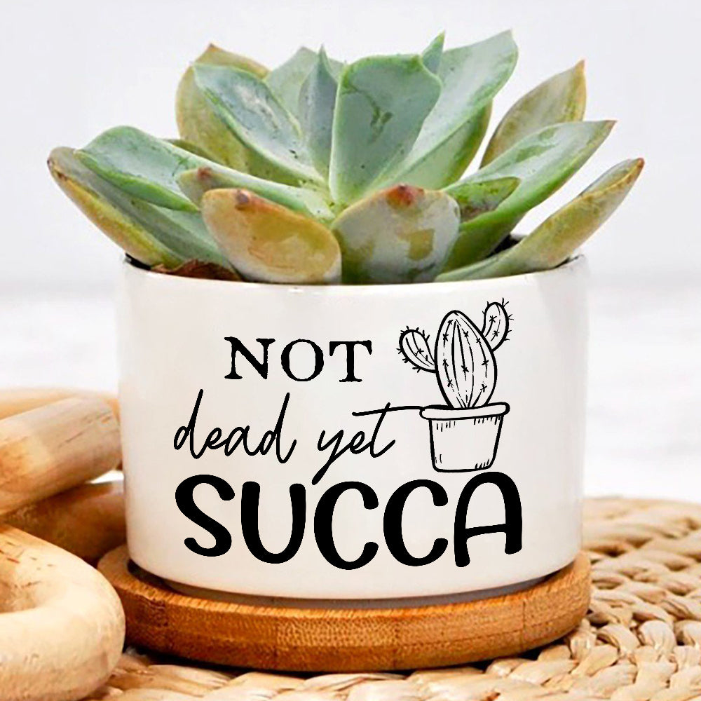 funny succulent pots Not Dead Yet Succa Plant Pot, Positive Vibes Plant Pot, Funny plant pot design, Planter Pot Decal, encouragement gift – Wolfantique