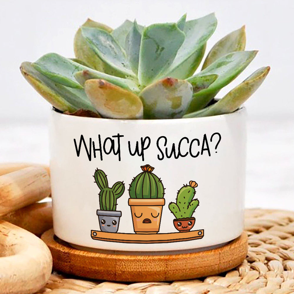 pun plant pots What Up Succa Cactus Plant Pot, Positive Vibes Plant Pot, Funny plant pot design, Planter Pot Decal, encouragement gift – Wolfantique