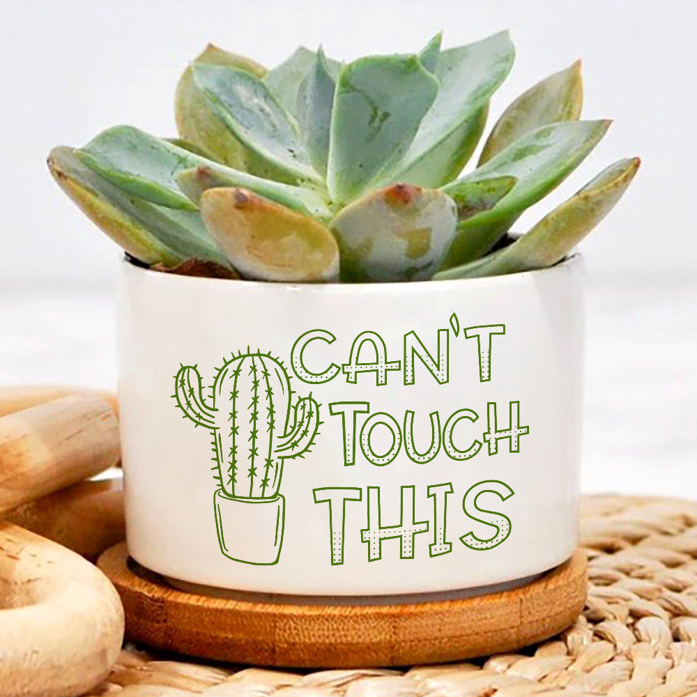 potted plant puns Can Not Touch This Plant Pot, Positive Vibes Plant Pot, Funny plant pot design, Planter Pot Decal, encouragement gift – Wolfantique