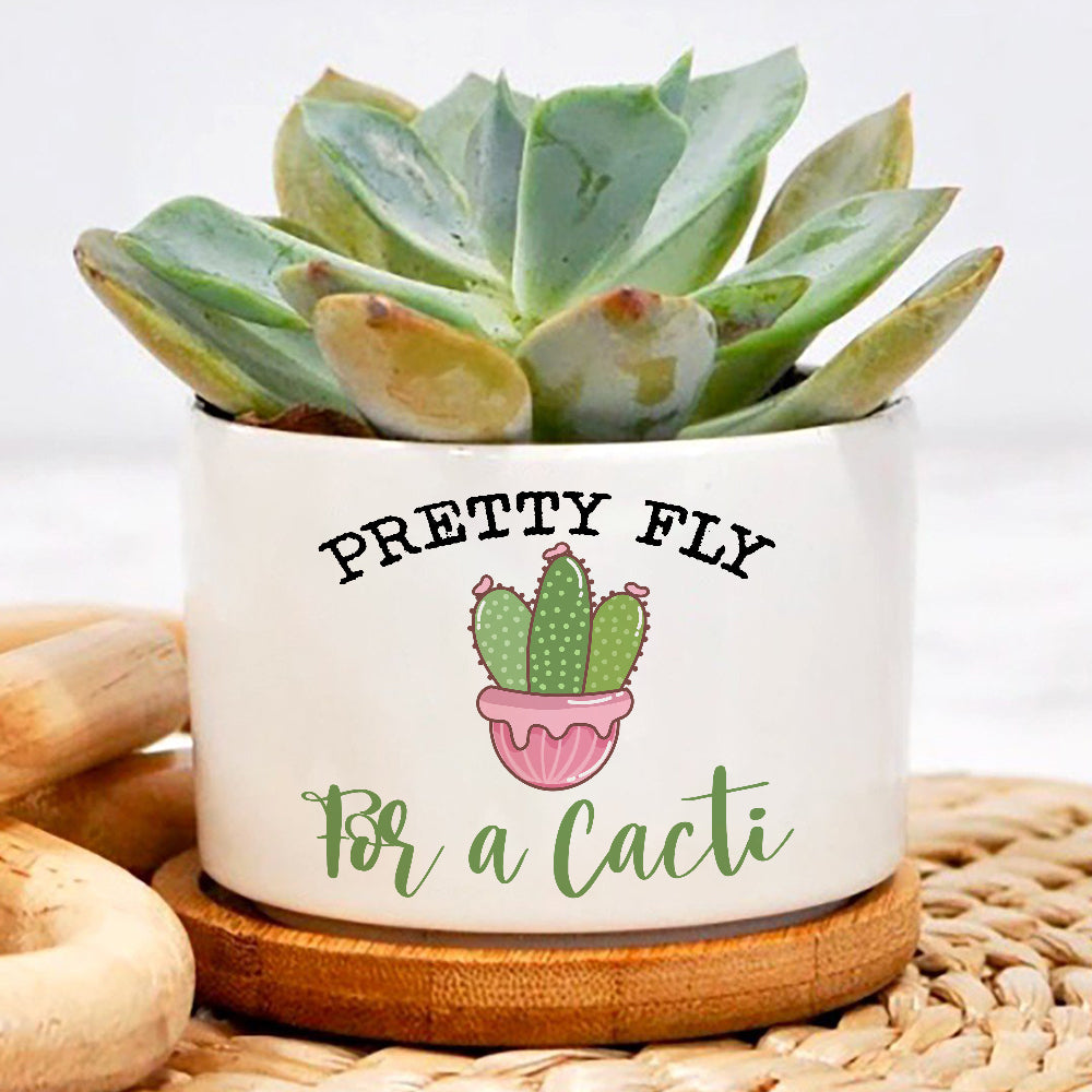 cute succulent sayings Pretty Fly For A Cacti Plant Pot, Positive Vibes Plant Pot, Funny plant pot design, Planter Pot Decal, encouragement gift – Wolfantique