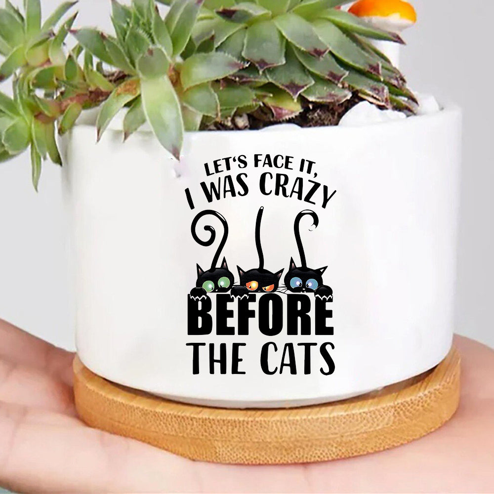 Let's Face It I Was Crazy Before The Cats Plant Pot