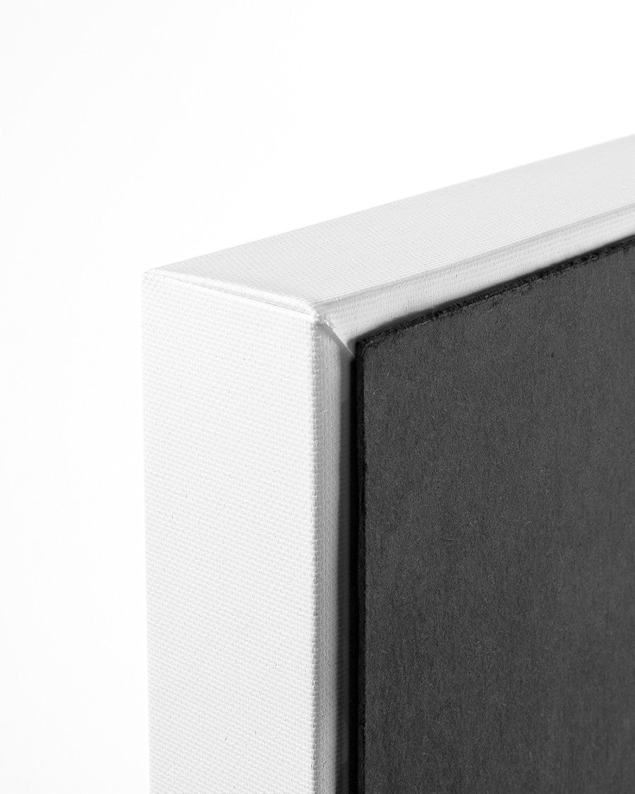 Woman Warrior Armor Jesus Lion Canvas