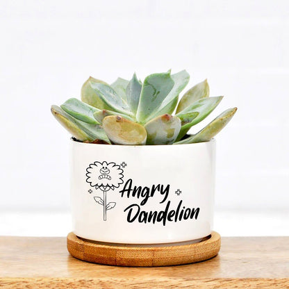 Angry Dandelion Plant Pot