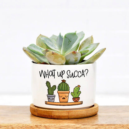 novelty succulent pots What Up Succa Cactus Plant Pot, Positive Vibes Plant Pot, Funny plant pot design, Planter Pot Decal, encouragement gift – Wolfantique