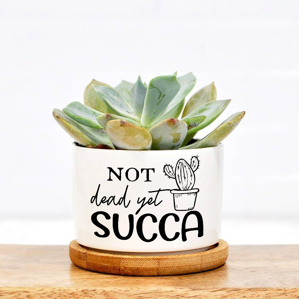 Not Dead Yet Succa Plant Pot