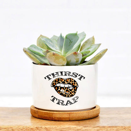 Thirst Trap Plant Pot