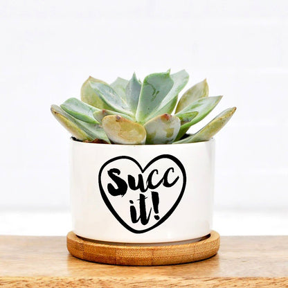 Succ It Plant Pot