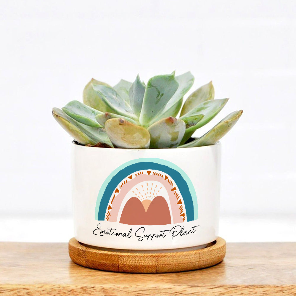 Boho Rainbow Emotional Support Plant Pot