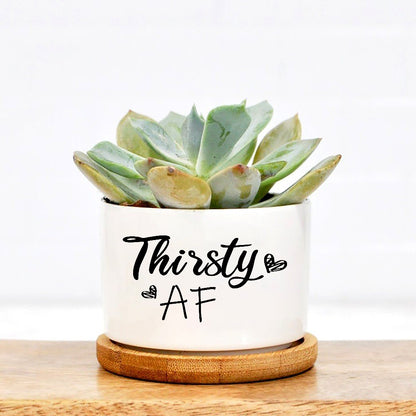 quotes for plant pots Thirsty Af Plant Pot, Pot with Funny Sayings, Positive Vibes Plant Pot, Funny plant pot design, Planter Pot Decal, pot for succulents – Wolfantique