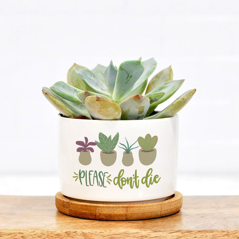 Please Do Not Die Plant Pot