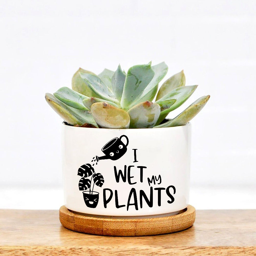 Sometimes I Wet My Plants Pot