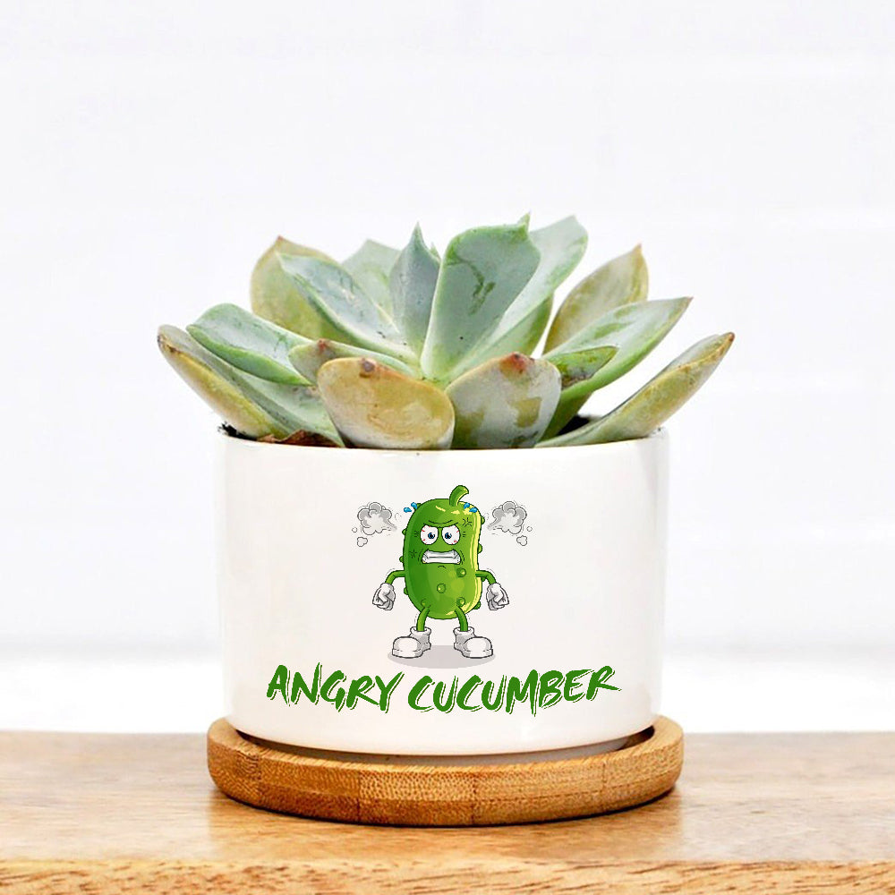 Angry Cucumber Plant Pot