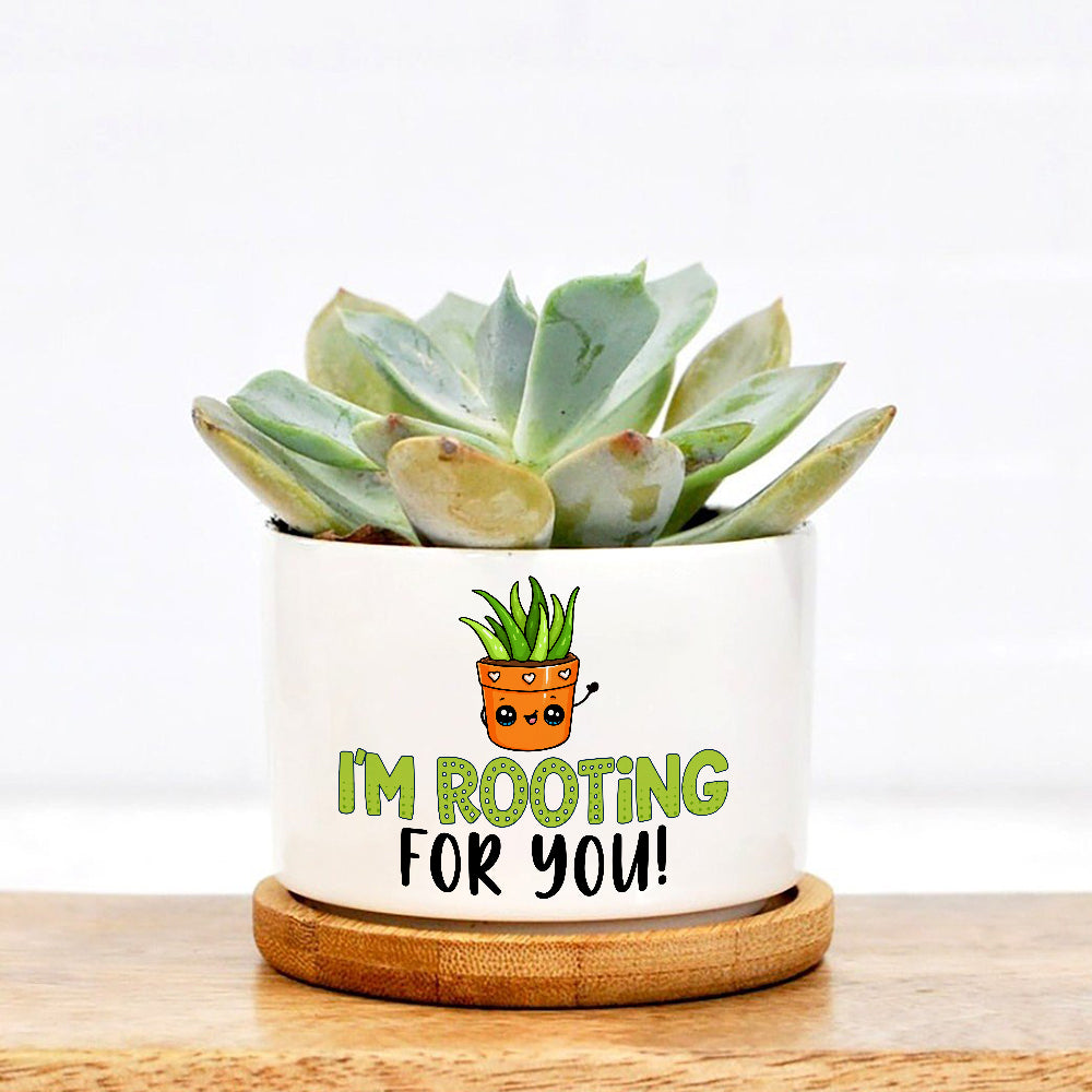 I'm So Rooting For You Plant Pot