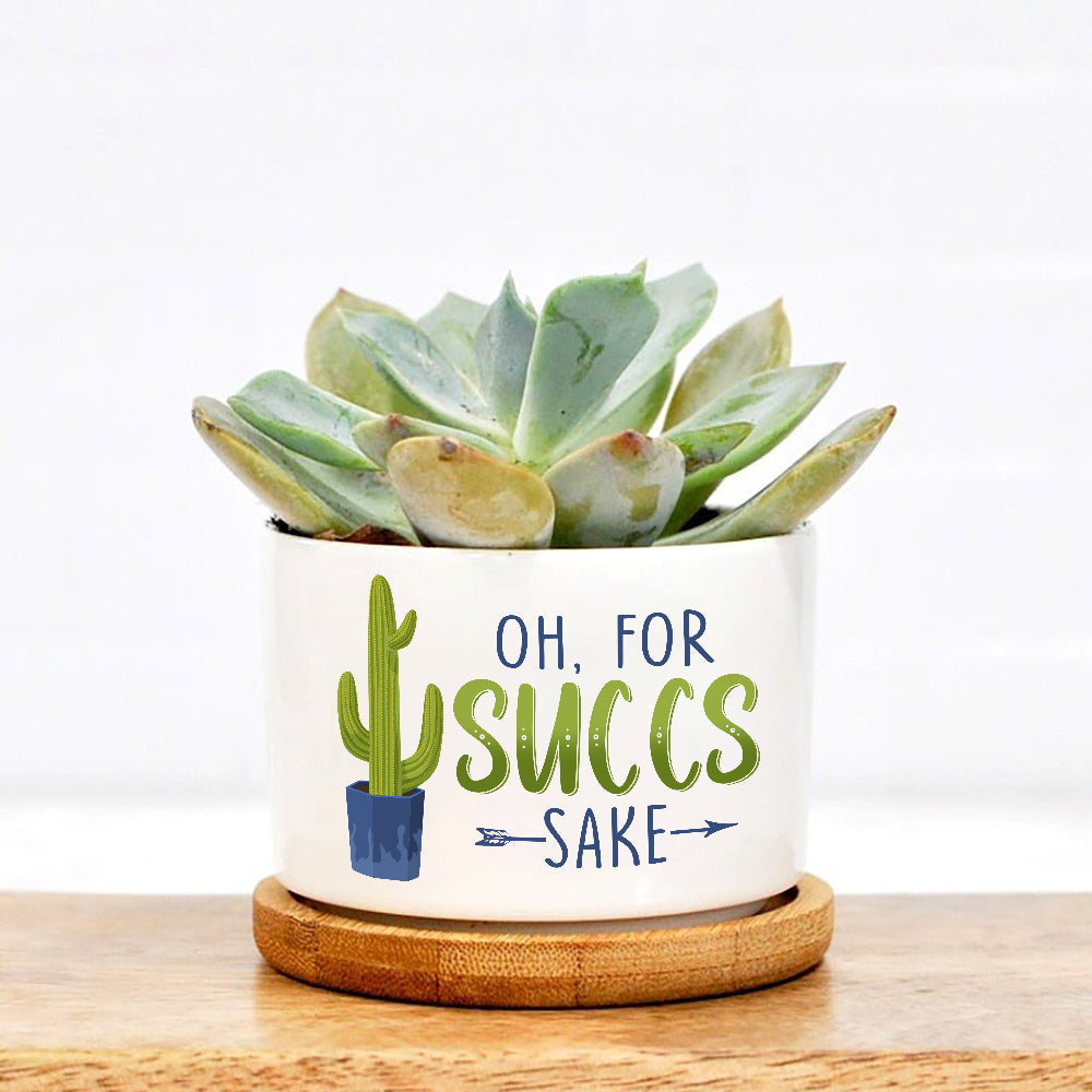 Oh For Succs Sake Plan Pot