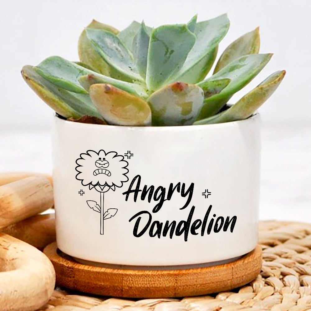 Angry Dandelion Plant Pot