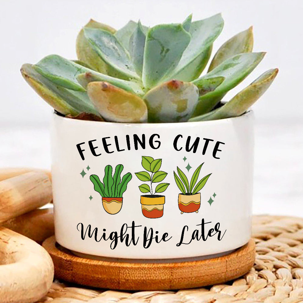 Feeling Cute Might Die Later Plant Pot