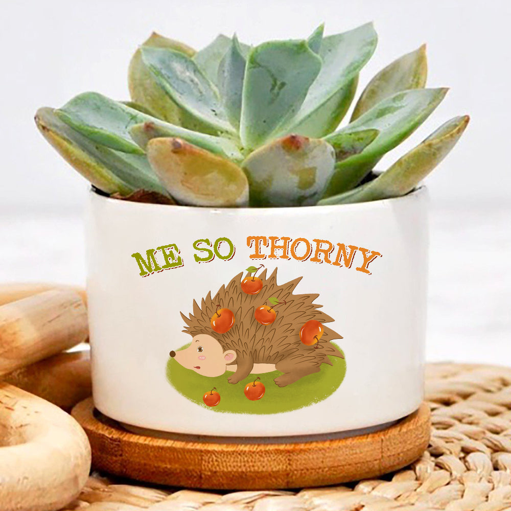 Porcupine Me So Thorny Plant Pot