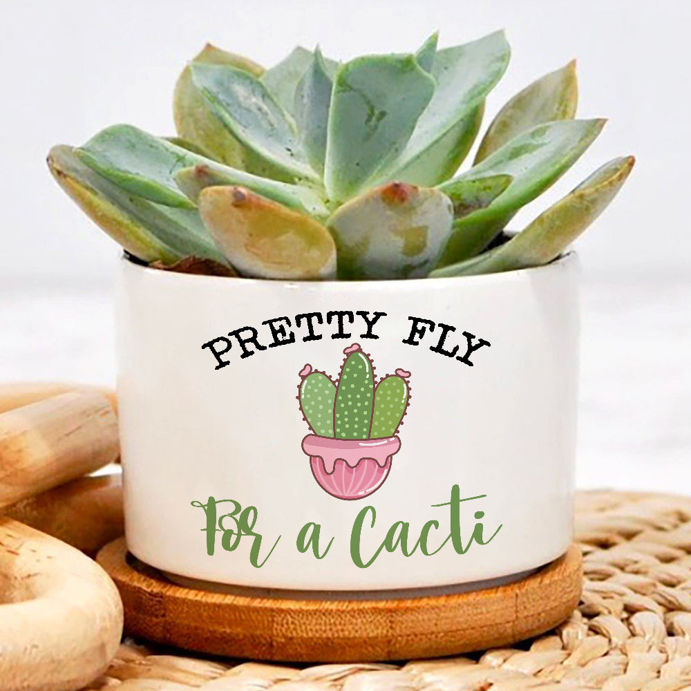 Pretty Fly For A Cacti Plant Pot
