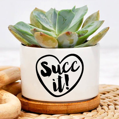 Succ It Plant Pot