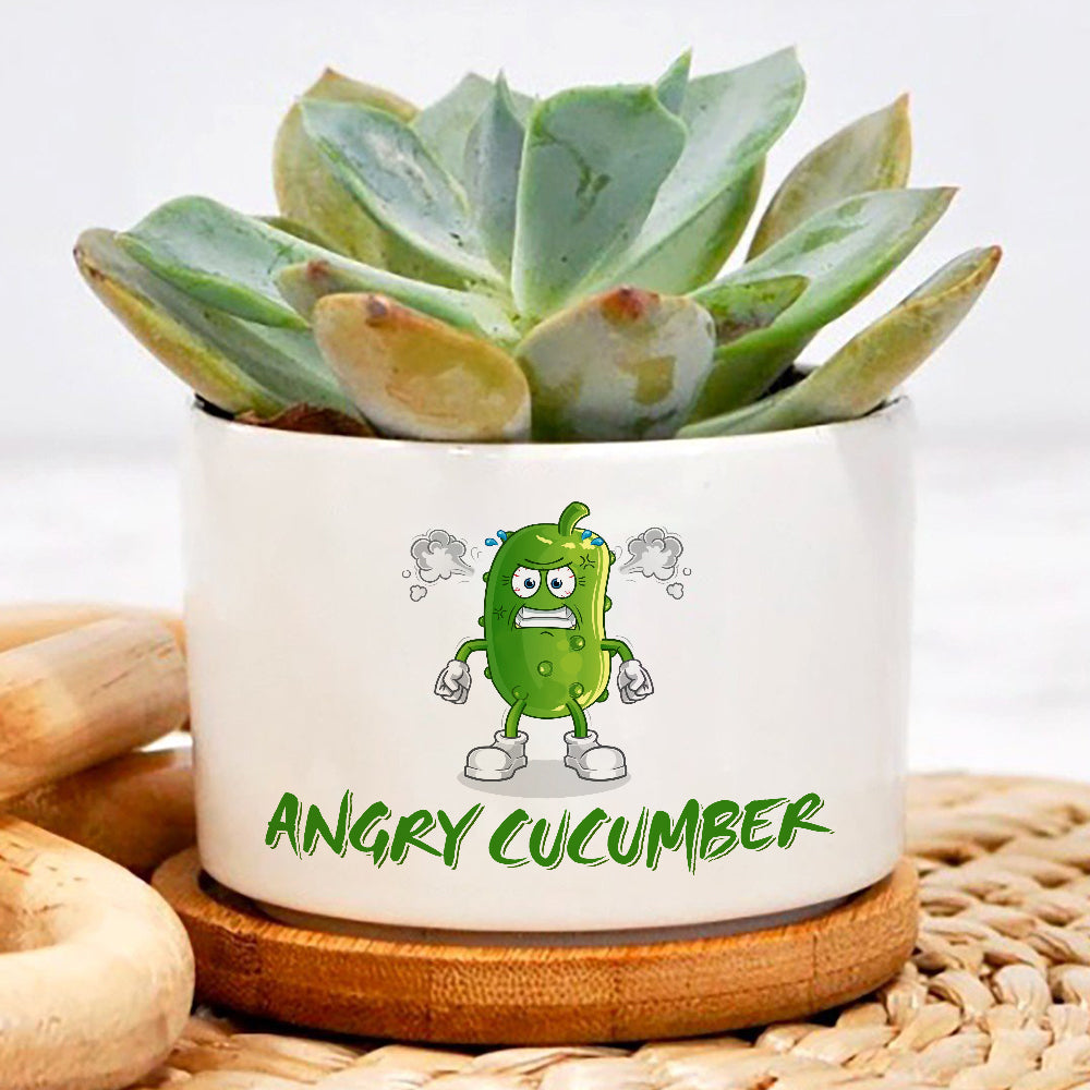 Angry Cucumber Plant Pot