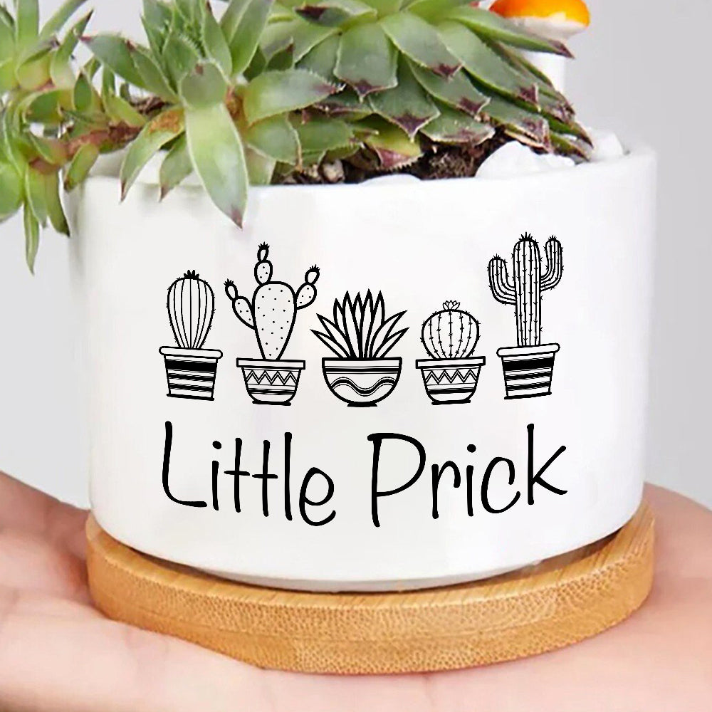 Little Prick Punny Plant Pot
