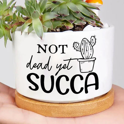 Not Dead Yet Succa Plant Pot