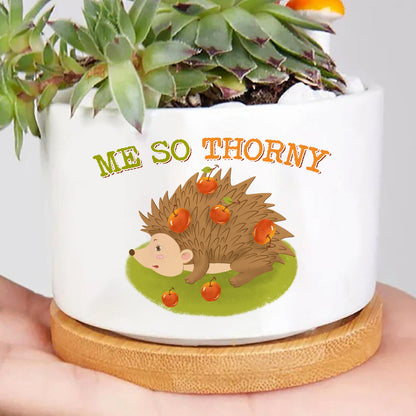 Porcupine Me So Thorny Plant Pot