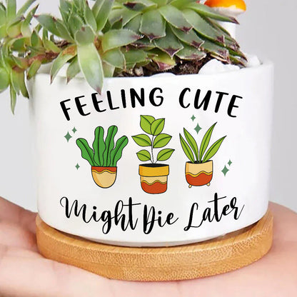 feeling cute might die later plant pot Feeling Cute Might Die Later Plant Pot, Positive Vibes Plant Pot, Funny plant pot design, Planter Pot Decal, encouragement gift – Wolfantique