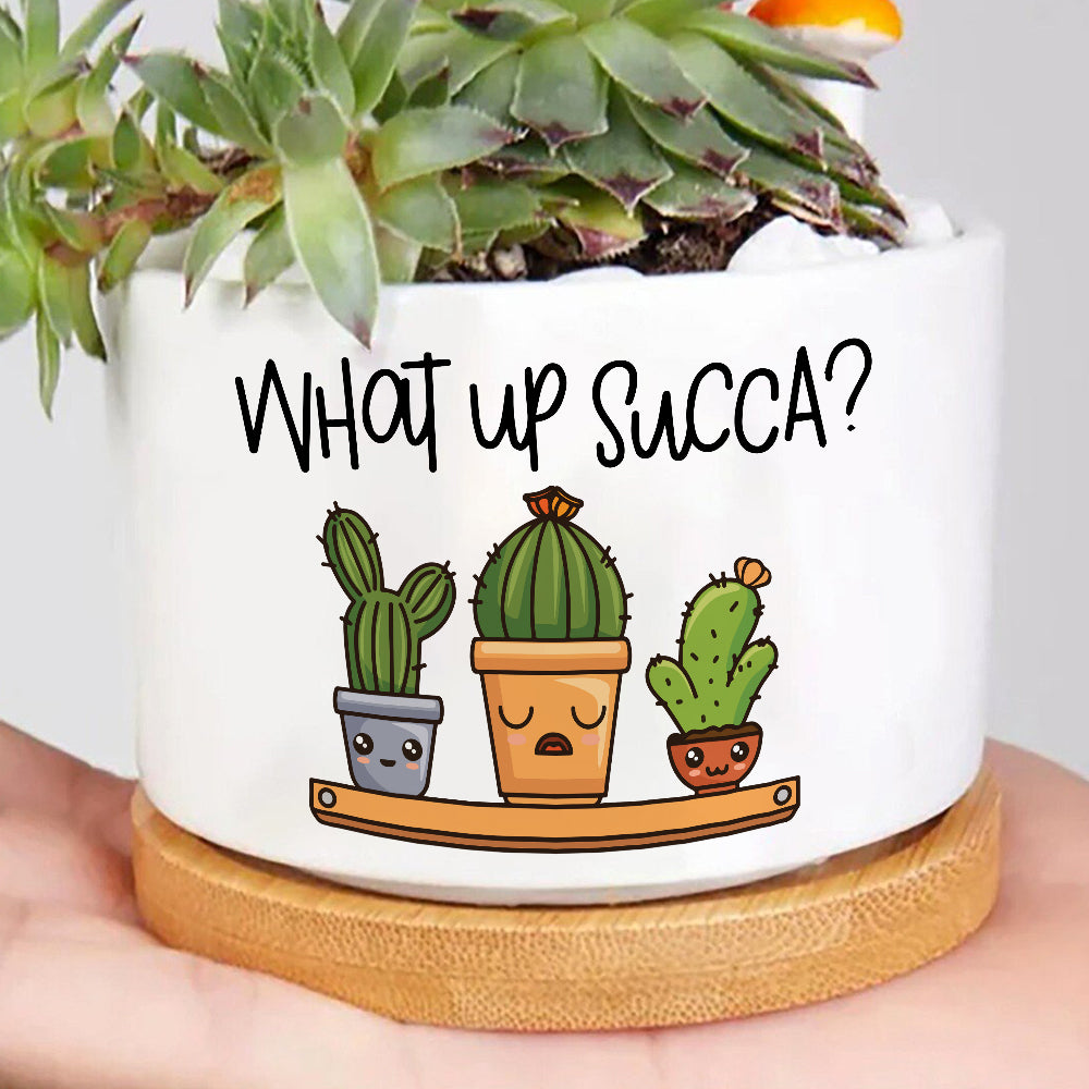 cute cactus plant pot What Up Succa Cactus Plant Pot, Positive Vibes Plant Pot, Funny plant pot design, Planter Pot Decal, encouragement gift – Wolfantique