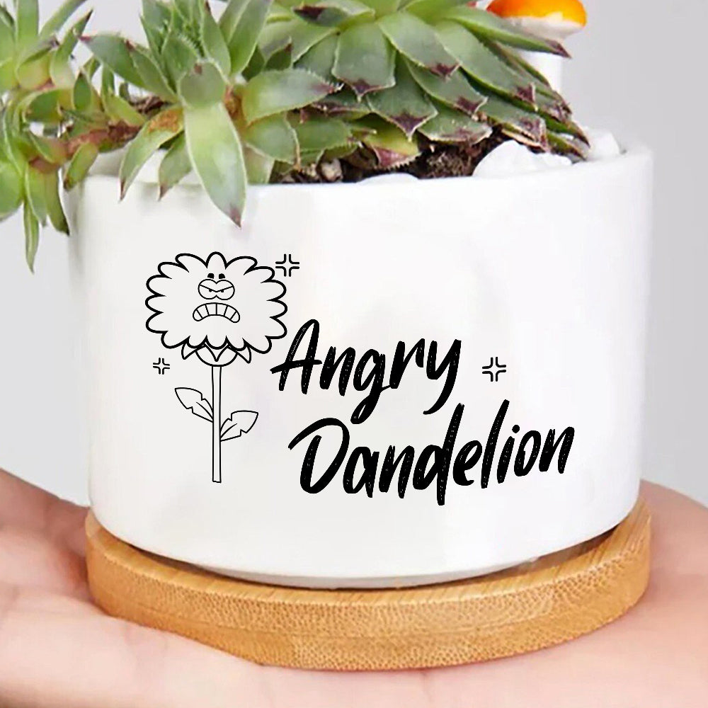 Angry Dandelion Plant Pot