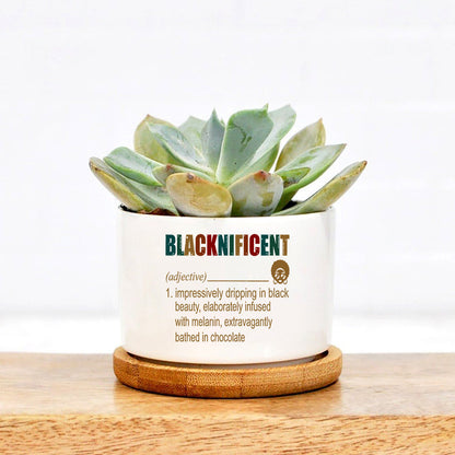 Blacknificent Black Beauty Chocolate Plant Pot