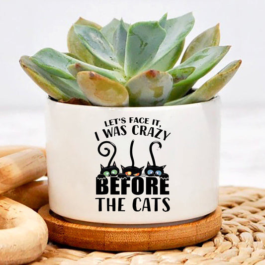 Let's Face It I Was Crazy Before The Cats Plant Pot