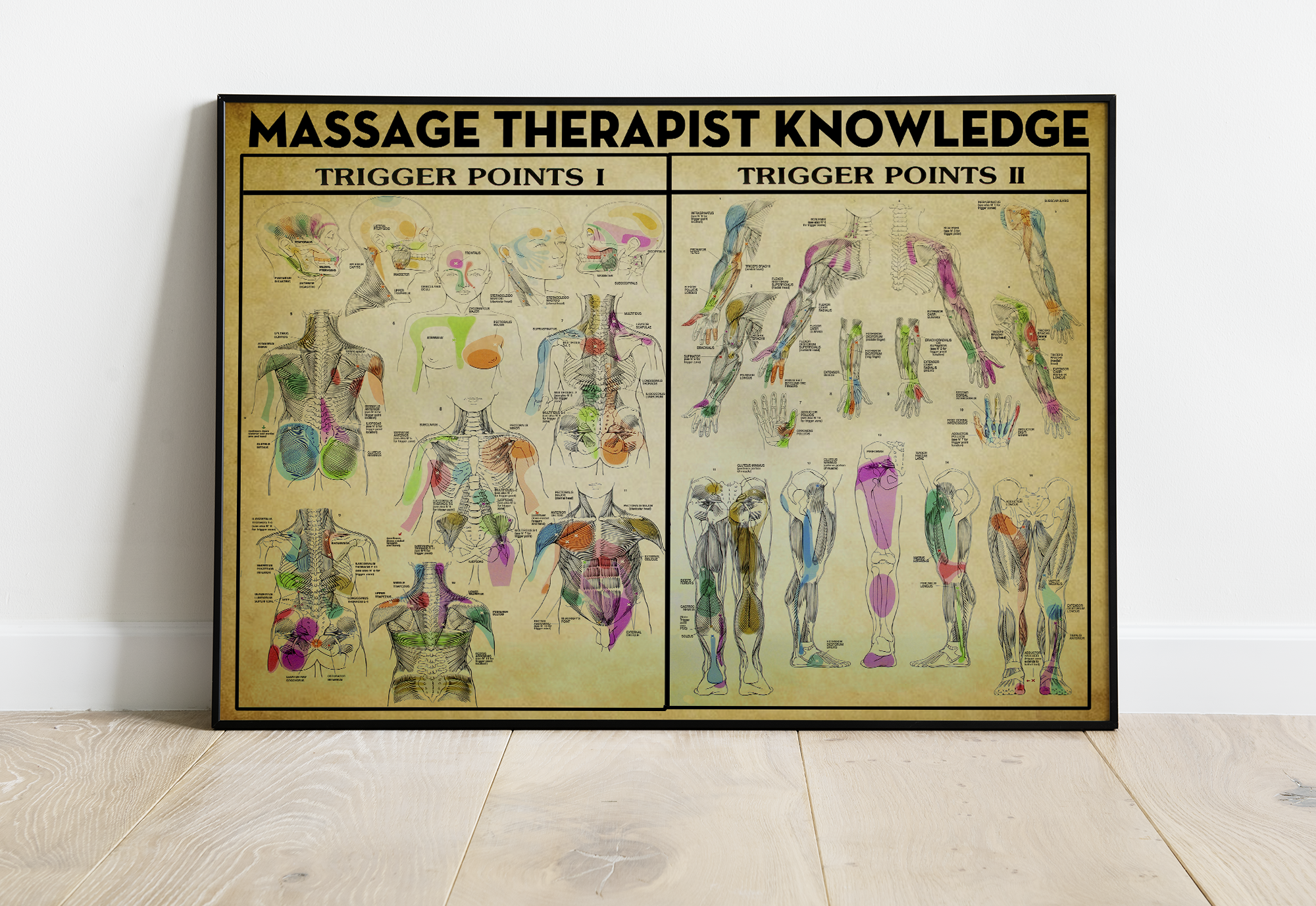 Massage Therapist Knowledge Trigger Points 1 Trigger Points 2 Standard Poster